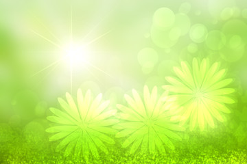 Abstract bright spring or summer landscape texture with natural green bokeh lights and flowers and bright sunny rays. Spring or summer background with copy space.