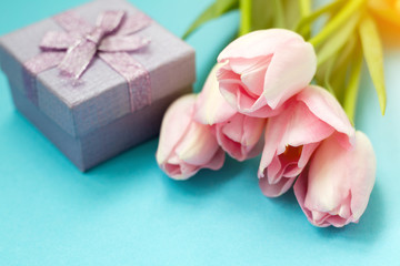 Pink tulips on the blue background with gift box. Flat lay, top view. Valentines background