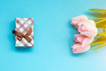 Pink tulips on the blue background with gift box. Flat lay, top view. Valentines background