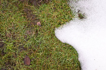Snow and grass background texture with a place for text .Backdrop with copy space