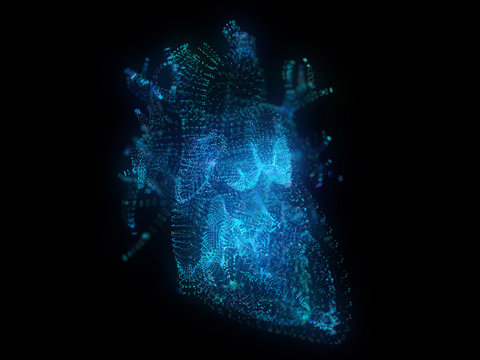 Illustration Of A Plexus Heart