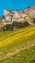 Obraz premium Smartphone HD wallpaper of beautiful alpine view at the Achensee - Maurach - Tyrol - Austria