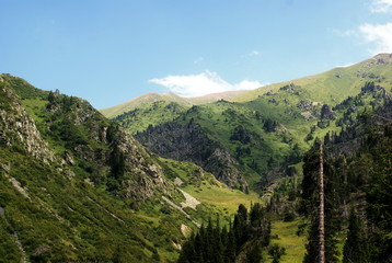 Obraz premium Mountain canyon in summer near the Chimbulak
