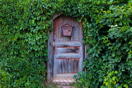 old door with mailbox in garden
