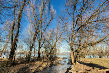 The mouth of the river