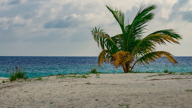 Palme und Strand, T&uuml;rkis wasser von Adaaran Select Meedhupparu auf Malediven im Indischer Ozean