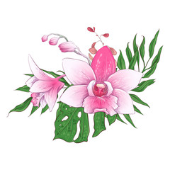 Exotic tropical floral bouquets paphiopedilum orchid flowers vector design set.