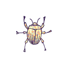 beetle vector doodle sketch isolated on white background
