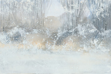 winter snowy  forest