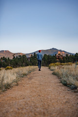 Obraz premium Trail in Estes