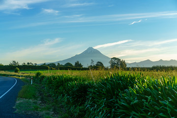 on the road to cone volcano mount taranaki, new zealand 2
