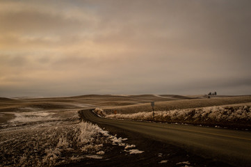 Winter farm scene Eastern Washington