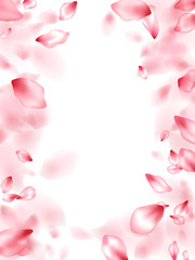 Pink sakura flower flying petals isolated on white vector background.