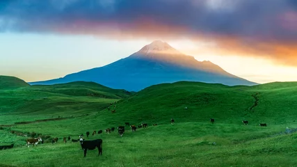 Foto op Canvas sunrise over green grass, cone volcano mt taranaki, new zealand 1 © Christian B.