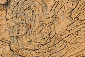 Very Old Wood covered with paint Background, closeup. Old and old wood texture close up. backgrounds, texture is a very old wood covered with paint in the process of prolonged natural decomposition.
