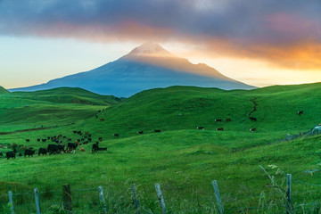 Fototapeta premium sunrise over green grass, cone volcano mt taranaki, new zealand 3