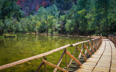 Fototapeta premium Puente flotante sobre el río Piedra (Aragón)