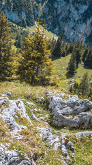Obraz premium Smartphone HD wallpaper of beautiful alpine view at the Achensee - Maurach - Tyrol - Austria