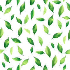 Watercolor painting coconut,palm leaf,green leave seamless pattern background.Watercolor hand drawn illustration tropical exotic leaf prints for wallpaper,textile Hawaii aloha jungle style pattern.