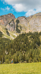 Fototapeta na wymiar Smartphone HD wallpaper of beautiful alpine view at the Achensee - Maurach - Tyrol - Austria