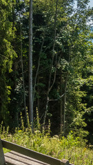 Fototapeta premium Smartphone HD wallpaper of Beautiful alpine view at Hallein