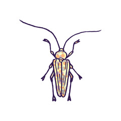 beetle vector doodle sketch isolated on white background