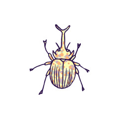 rhinoceros beetle vector doodle sketch isolated on white background