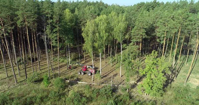 A lumberjack operating a logging machine in a pine forest. Forest Industry. A cut-to-length (CTL) forest harvester. Forest Wheeled Harvester. Forestry Equipment. Logging Equipment. From above