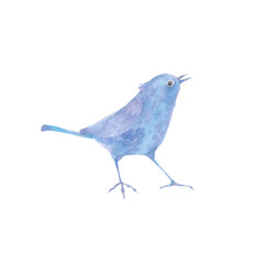 Little blue bird. Hand-drawn watercolor illustration on white background. Sketch. Isolated element design for invitations, greeting cards, logo.