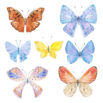 Butterflies. Hand-drawn watercolor illustration on a white background. Collection of isolated elements for design.