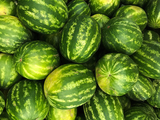 Fresh watermelon group
