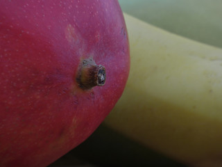 Close Up Fresh Mango fruit. Assorted fruits in background. - Image