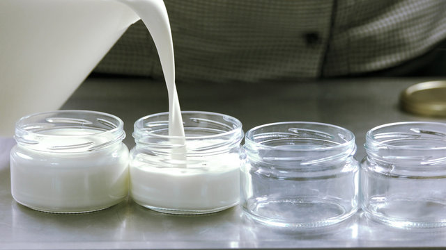 Milk pouring into glass containers. Process of yoghurt preparation at home. Organic dairy production concept.