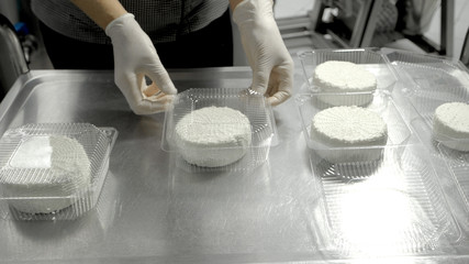 Fototapeta na wymiar Production of dairy products. Female worker in protective gloves taking fresh cheese wheel ready for aging process at the manufacture.