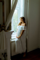 Young pregnant woman standing by the window