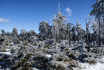 Zima w górach Sowich. Dolnośląskie. Polska . Europa © Piotr Czerkawski