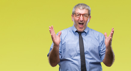 Handsome senior business man over isolated background celebrating mad and crazy for success with...