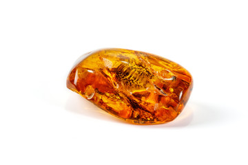 Macro Amber mineral stone with spider on white background