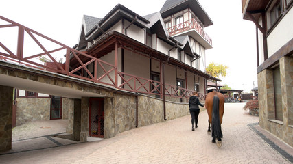 Woman walking her horse on a modern farm. Woman leading horse out of barn, back view. Female farmer at work.