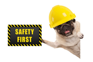 frolic smiling pug puppy dog with yellow constructor helmet, holding up black and yellow safety...