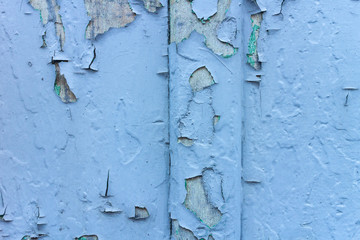 Old weathered wooden plank painted in blue color.