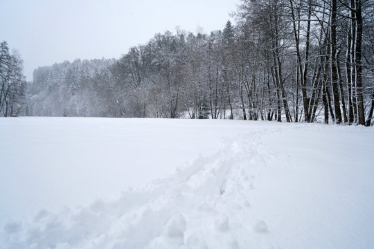 Winter landscape pictures with a lot of snow in cloudy weather in Germany Bavaria included 