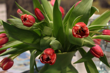 Red Tulips in a Vase. A sweet and simple expression of Love. The Tulip Floral Arrangement in green Vase. This tulips vase fills a home's heart with freshness