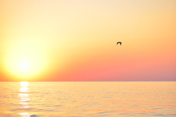 Golden sunrise sunset dusk over the sea ocean waves