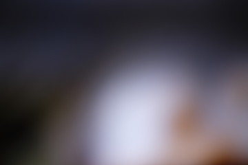 Soft Smooth Color Gradient with Blue and Yellow