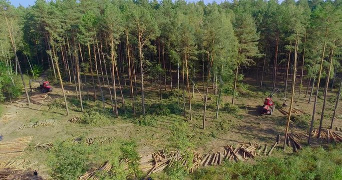 A lumberjack operating a logging machine in a pine forest. Forest Industry. A cut-to-length (CTL) forest harvester. Forest Wheeled Harvester. Forestry Equipment. Logging Equipment. From above
