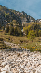 Fototapeta na wymiar Smartphone HD wallpaper of beautiful alpine view on the Hochfelln - Bergen - Bavaria - Germany