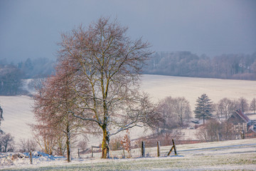 Ländliche Winterlandschaft