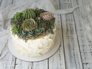 Cake decorated with creamy succulents on a wooden background with white fabric. Copy space, close...