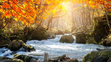 Oirase Gorge beautiful river druing the autumn season, Japan